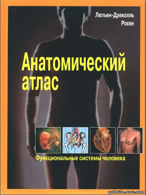 Анатомический атлас